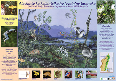 AKO book series poster Malagasy conservation LCF lemur conservation foundation indri no-song