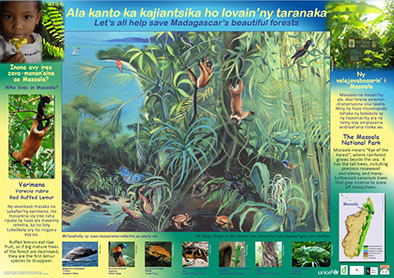 AKO book series poster Malagasy conservation LCF lemur conservation foundation red ruffed lemur varecia rubra