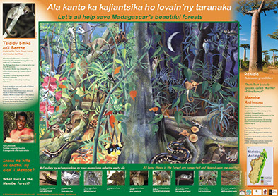 AKO book series poster Malagasy conservation LCF lemur conservation foundation mouse lemur bitika