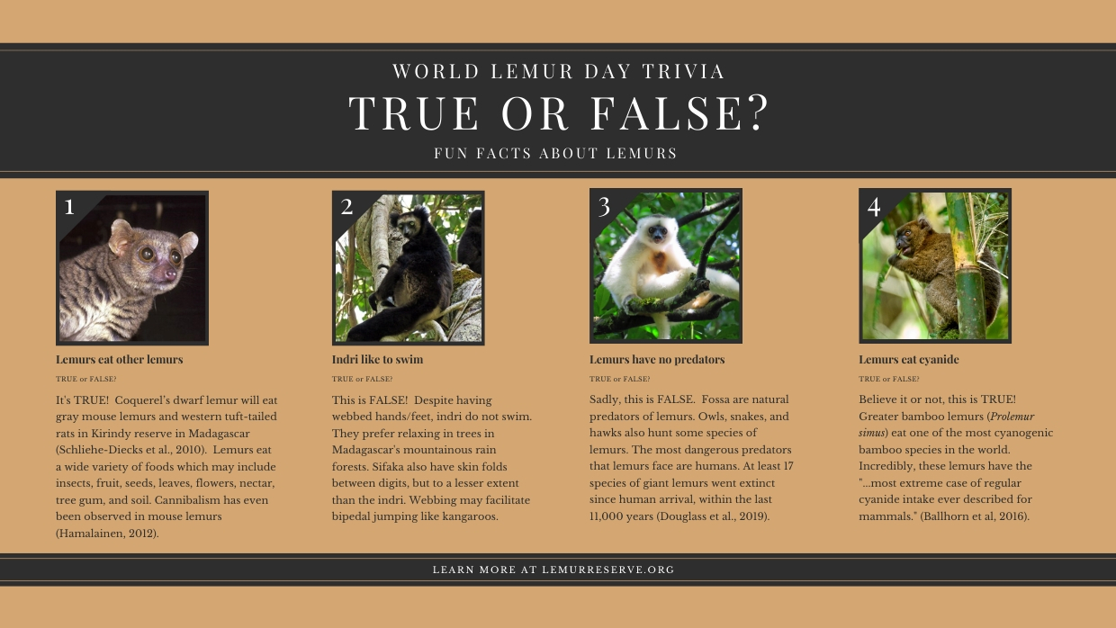 BP - WLD Trivia 1x 2019 World Lemur Day Trivia