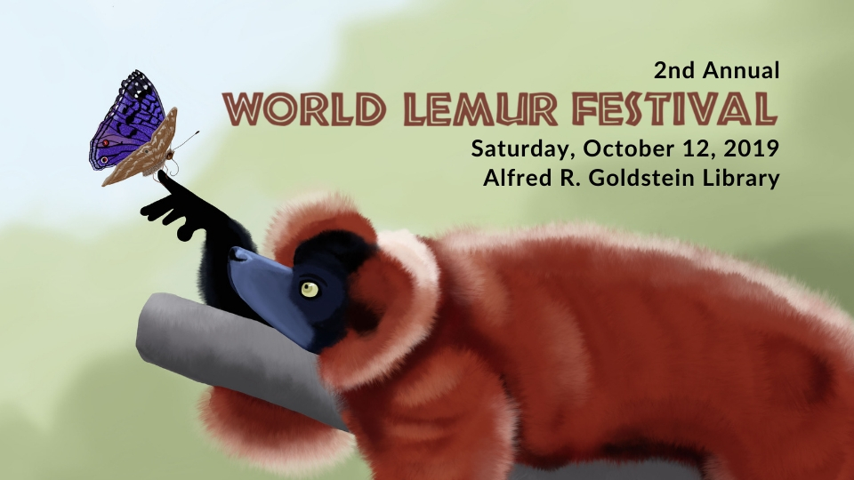 World Lemur Festival returns to Sarasota