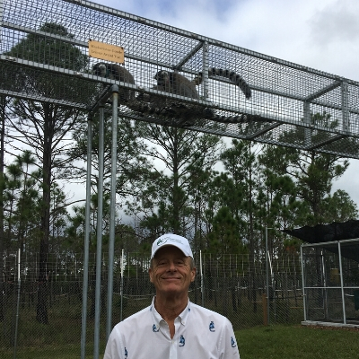 Mackarness Goode Lemur Aerial Trail