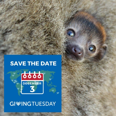 GivingTuesday Save the Date