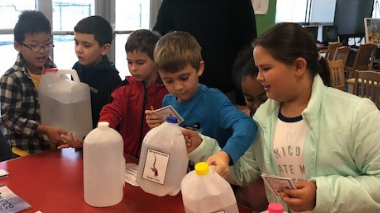 Students compare various lemur weights