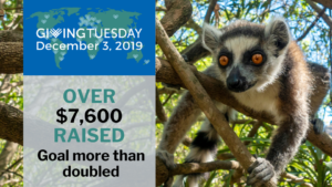 2019 GivingTuesday Results