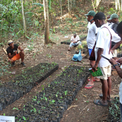 MM 01 06 1-3 (2) Reforestation nursery design training