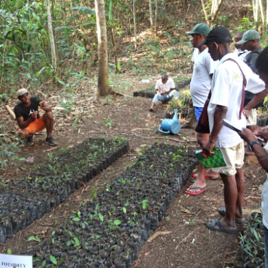 Reforestation nursery design training