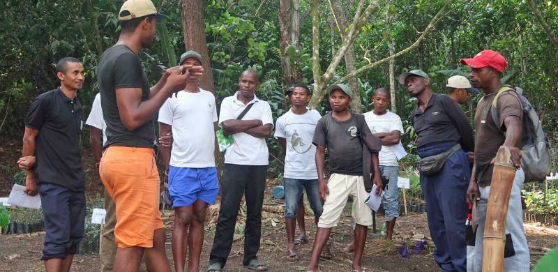 Reforestation field class training