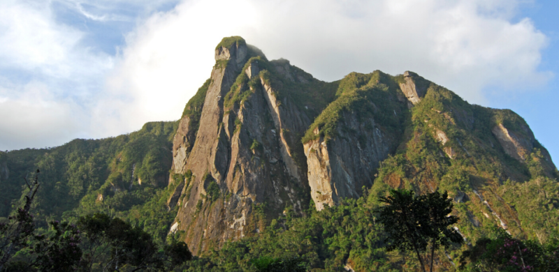 View of Marojejy by photographer Jeff Gibbs