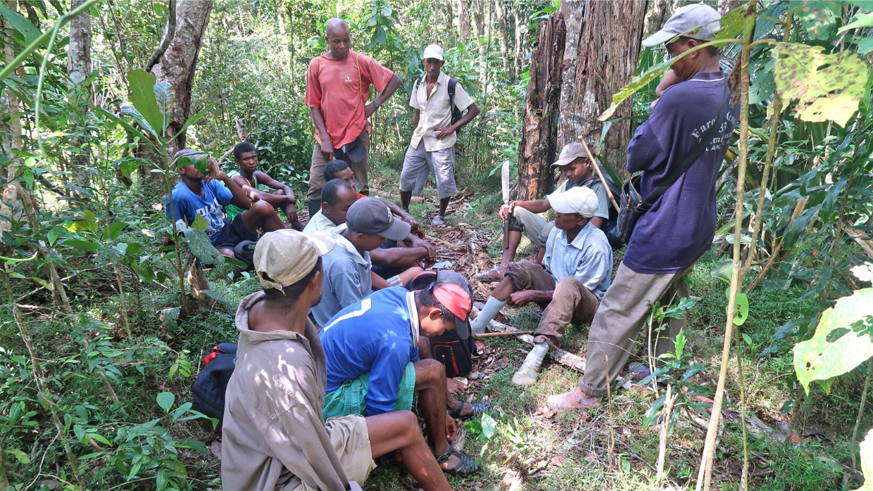 LCF Marojejy forest monitoring team members