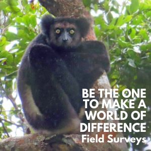 Be the One to Make a World of Difference by supporting LCF Field Surveys