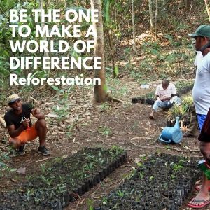 Be the One to Make a World of Difference by Supporting LCF Reforestation Programs