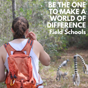 GC20 Webpage - Field Schools LCF Field Schools