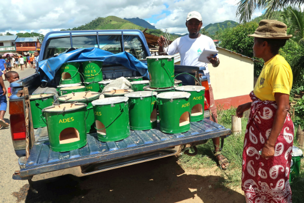 Fuel-efficient stove distribution