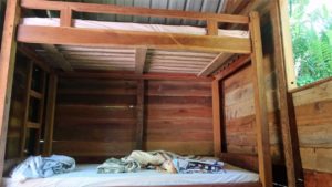 New bunk beds