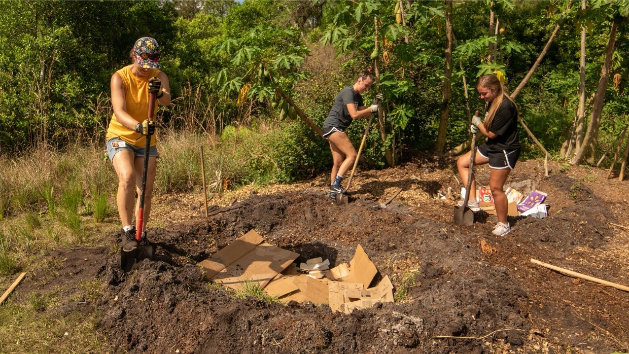 Installing a banana circle at LCF's reserve