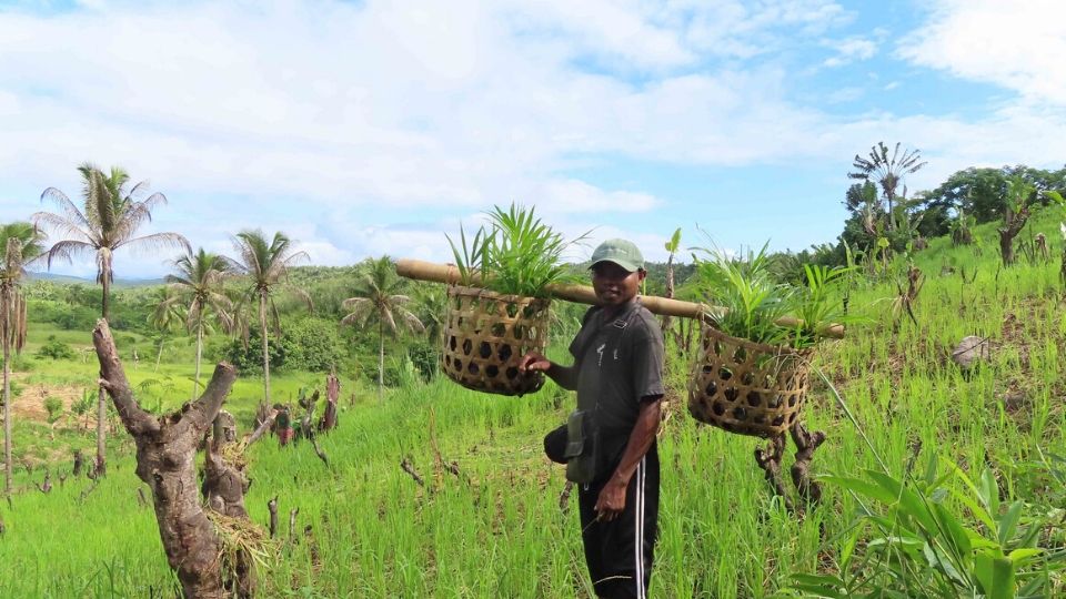 Reforestation training with Green Again: Madagascar