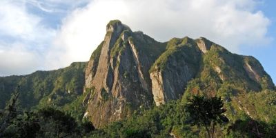 Marojejy National Park by Jeff Gibbs