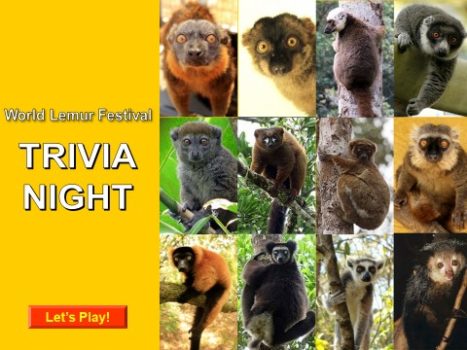World Lemur Festival Trivia Night