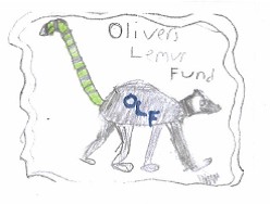 Olivers Lemur Fund Logo