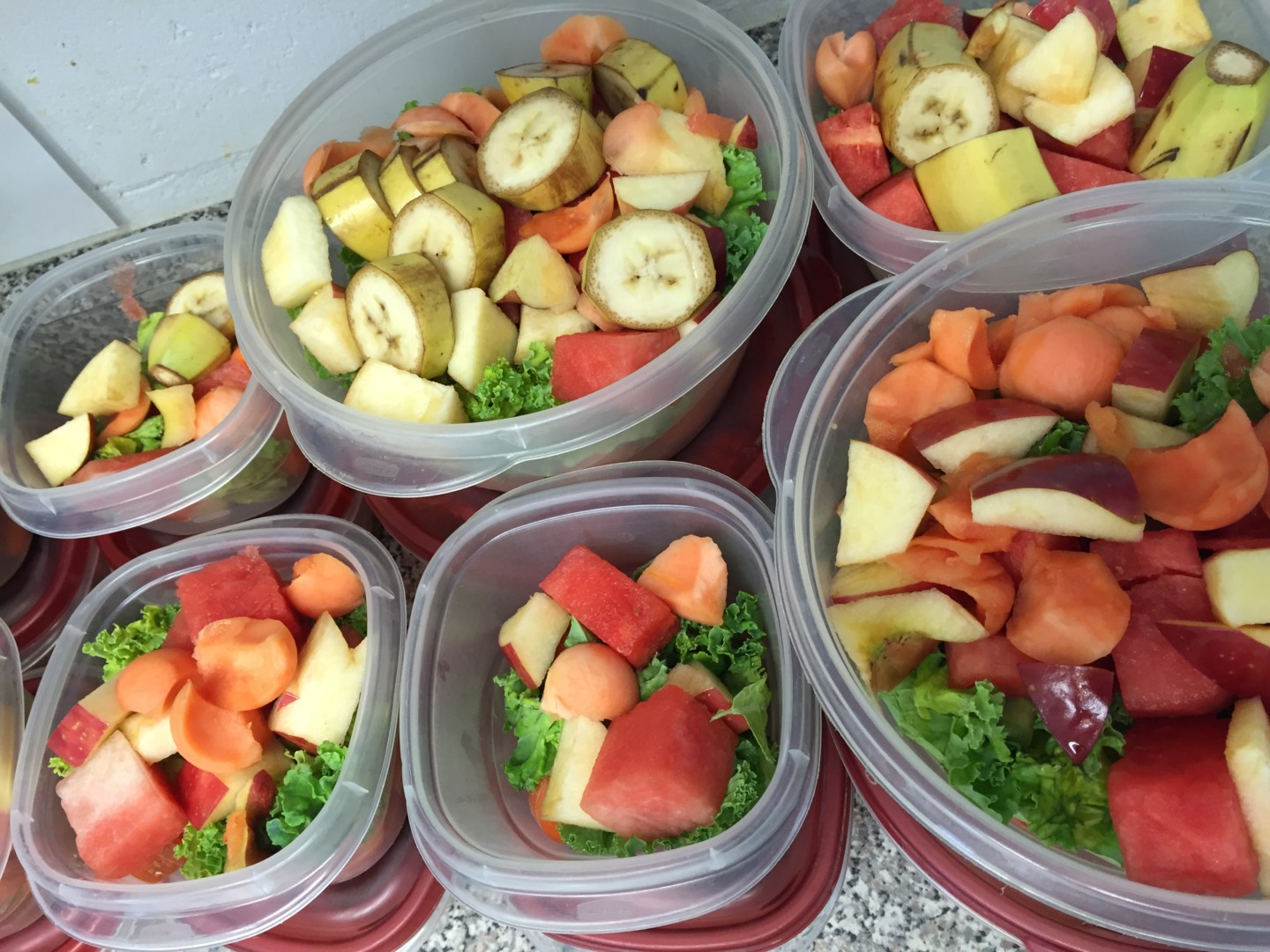 Close up of lemur diet preparation including papaya, banana, apple, watermelon, kale, and carrots
