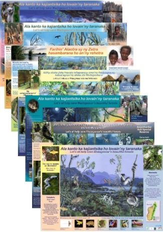 Educational Posters from the Lemur Conservation Foundation