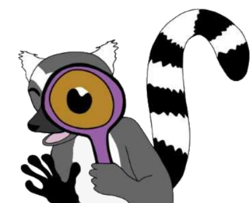 Lemur with magnifying glass