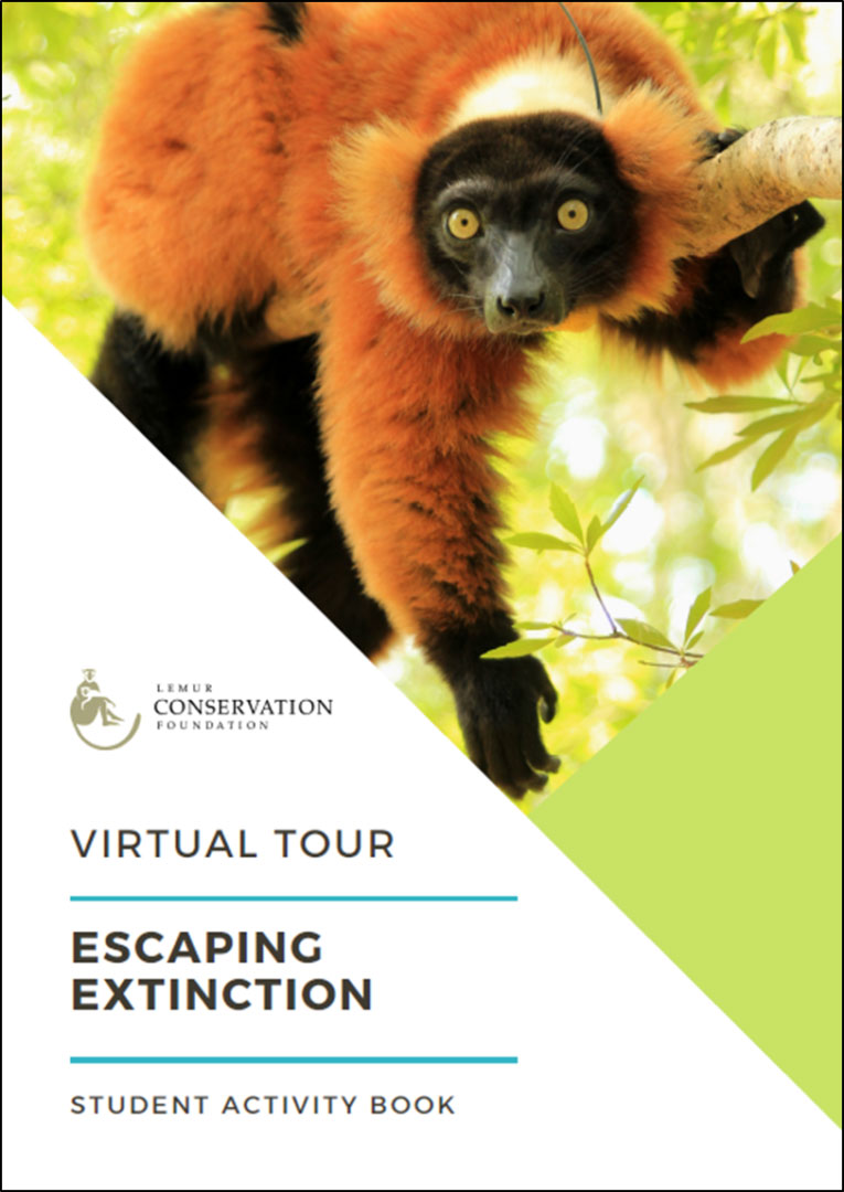 LCF-Virtual-Tour-Student-Activity-Book-2021