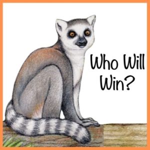 Who Will Win?