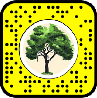 Snapchat tree scan code