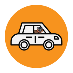 Donate Icon Car with Lemur