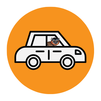 Donate Icon Car with Lemur