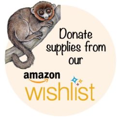 Lemur-LCF-Donate-Icons-Amazon