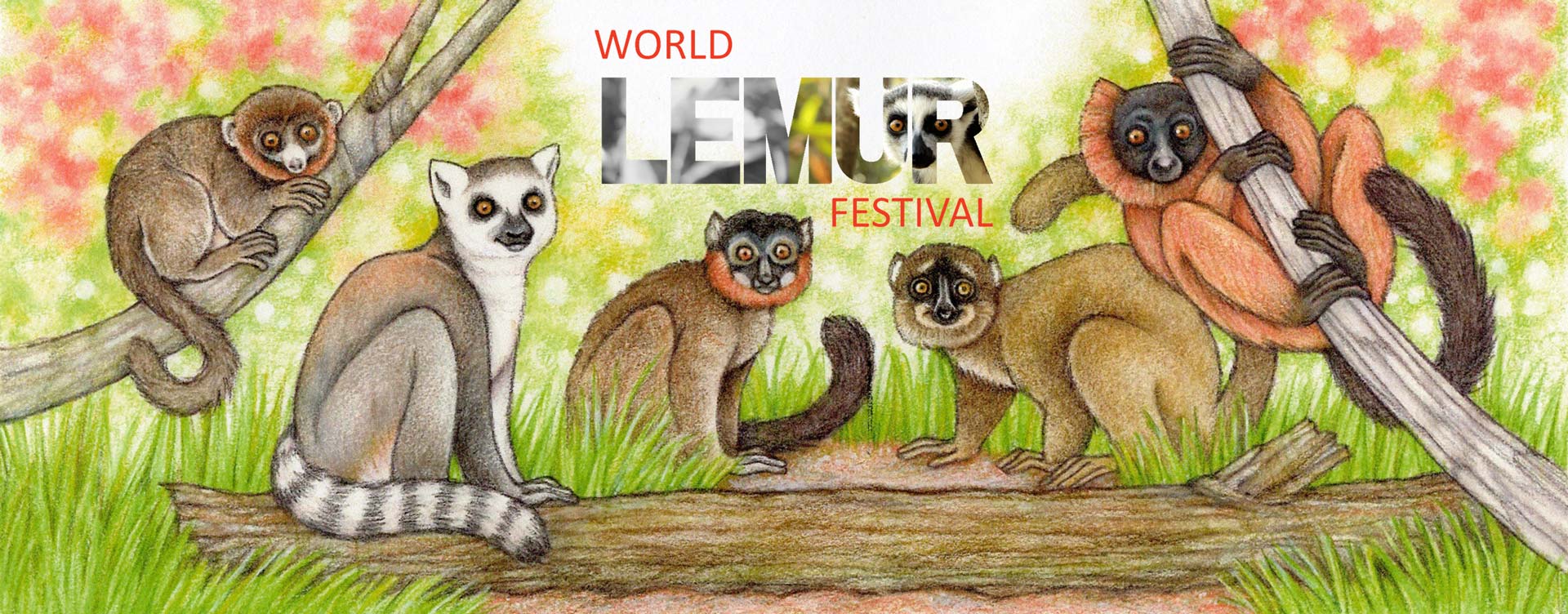 2022 5th Annual World Lemur Festival