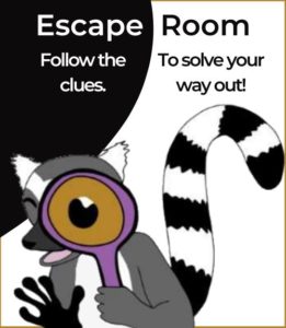 Escape Room