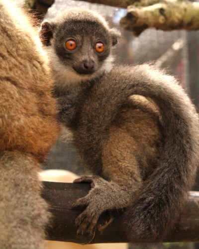 Xiomara sits close to her moms back