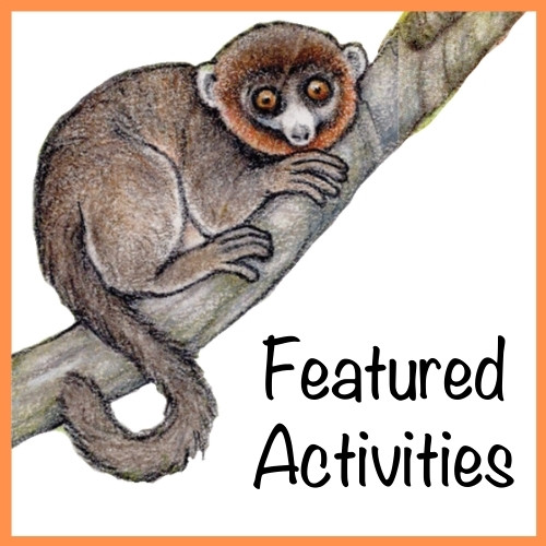 World Lemur Festival 2022 Featured Activities sponsored by the Lemur Conservation Foundation