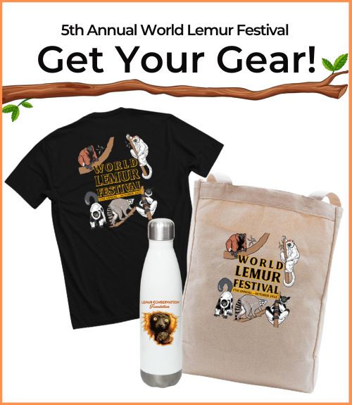 Lemur Conservation Foundation tee shirts, bags and more
