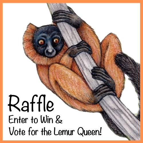 Lemur Raffle & Vote for the Lemur Queen