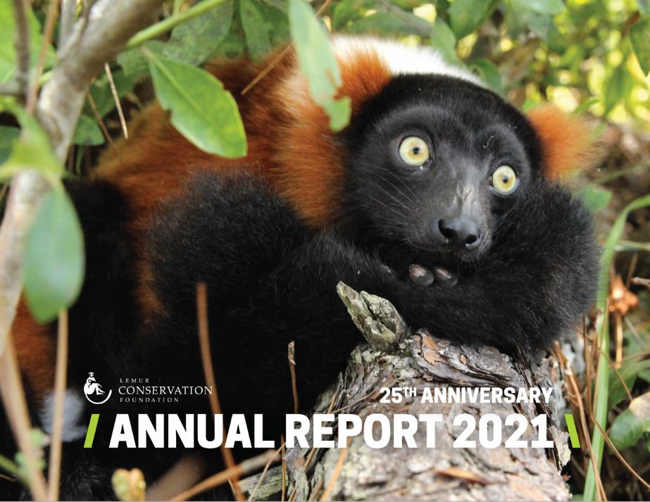 2020 Annual Report Cover featuring a red ruffed lemur