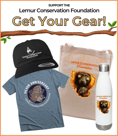 Support LCF - Get Your Gear!