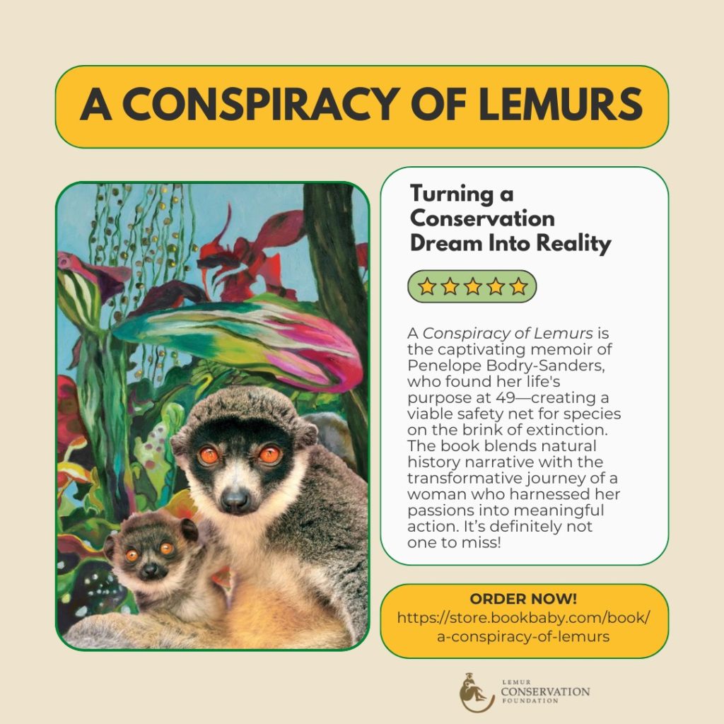 A Conspiracy of Lemurs has Arrived!