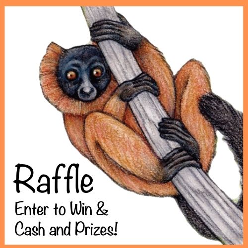 World Lemur Festival Raffle 2023 - Enter to win cash and prizes!