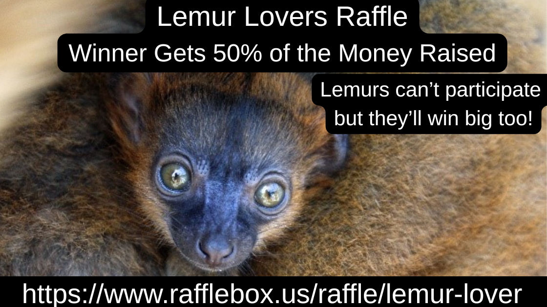 Lemcan’t participate but they will be thre big winners! copy