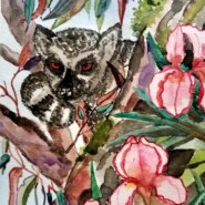 "Orchids and lemur" |
Watercolor |
Artist: Adelaide Miarinjara
