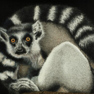 "Volana" |
Colored pencil |
Artist: John Guiseppi