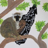 "Sanford's Brown Lemur" |
Acrylic |
Artist: Abby Weeks