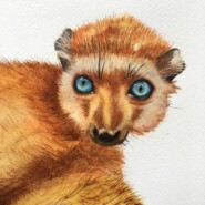 "Into The Blue"
Watercolor on paper
Artist: Deborah Knowlson