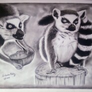 "Lemur biology" |
Pencil drawing (charcoal, graphite, maries) |
Artist: Hasina Eddy A