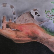 "Man support Lemurs" |
Oil pastel on canson paper |
Artist: RAMANANARIVO Manantenasoa Tsiory Johary